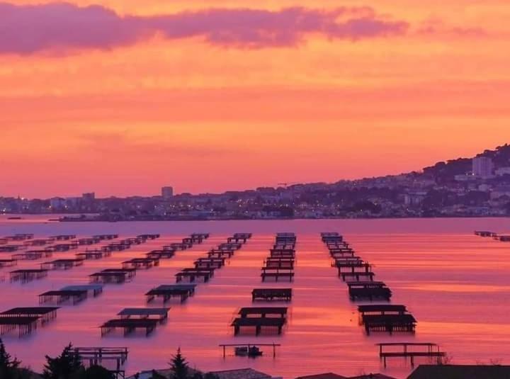 Bel Appartement Centre Ville Sète Kültér fotó